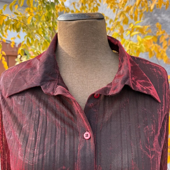 Sheer Red and Black Shimmer Pleated Blouse - Picture 4 of 9